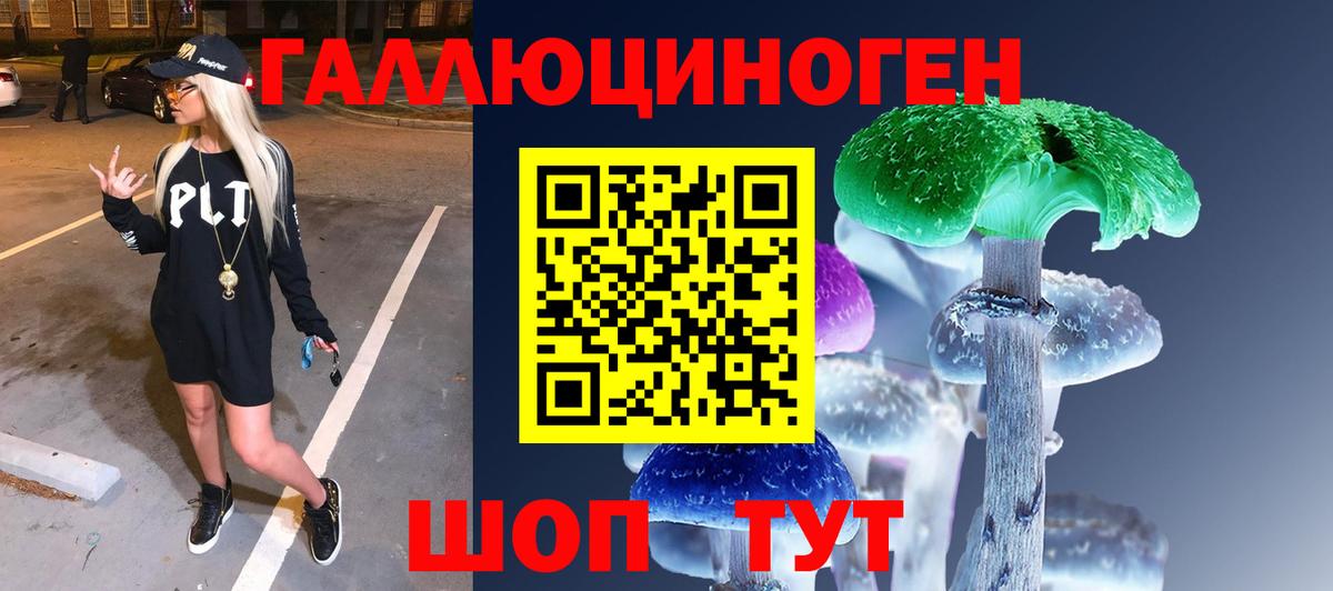 Галлюциногенные грибы Psilocybine cubensis  магазин продажи   Семилуки  Псилоцибиновые грибы прущие грибы  Вход с VPN 
